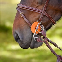 EQ Pelhamdelta med nylon