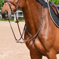EQ Yoke mässing