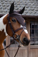 Kentucky Horsewear Fly Veil Long