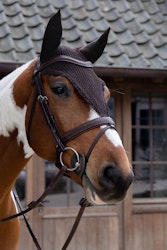 Kentucky Horsewear Fly Veil Long
