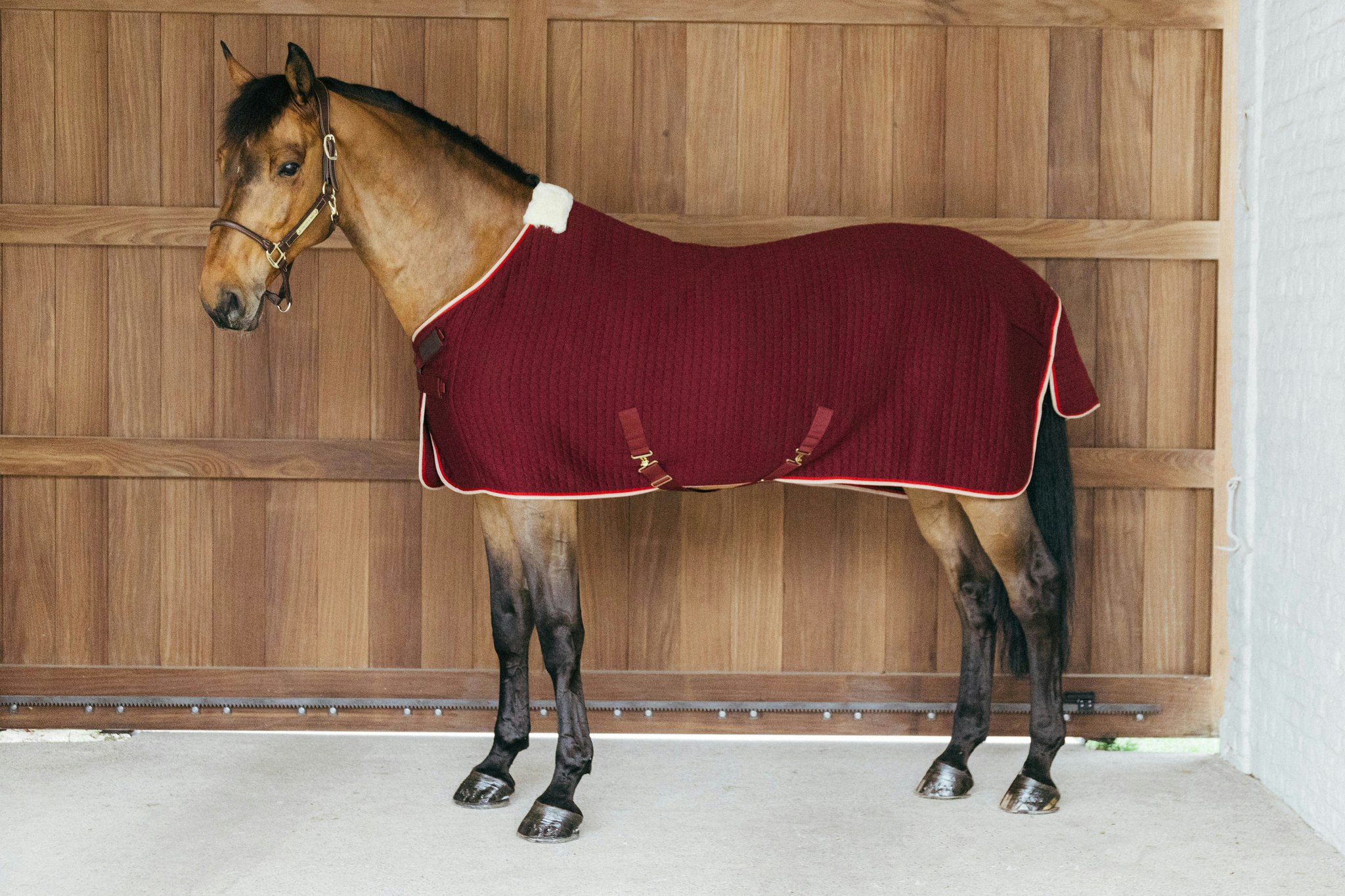 Kentucky Horsewear Cooler Rug PROtherm