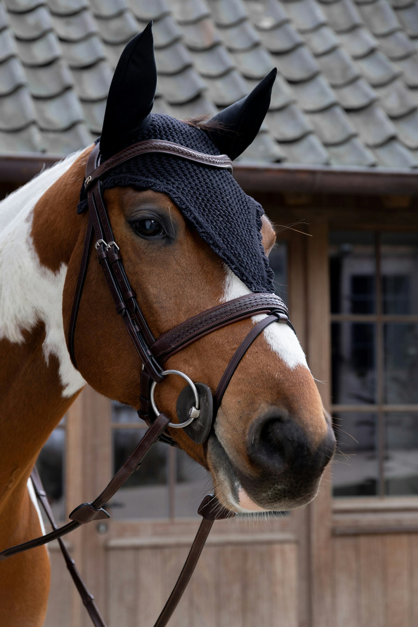 Kentucky Horsewear Fly Veil Long
