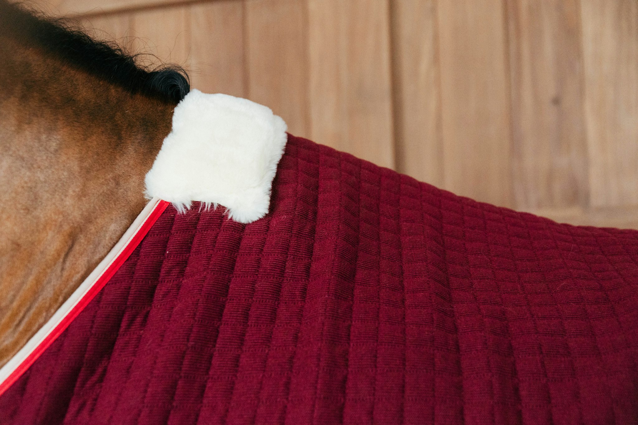 Kentucky Horsewear Cooler Rug PROtherm