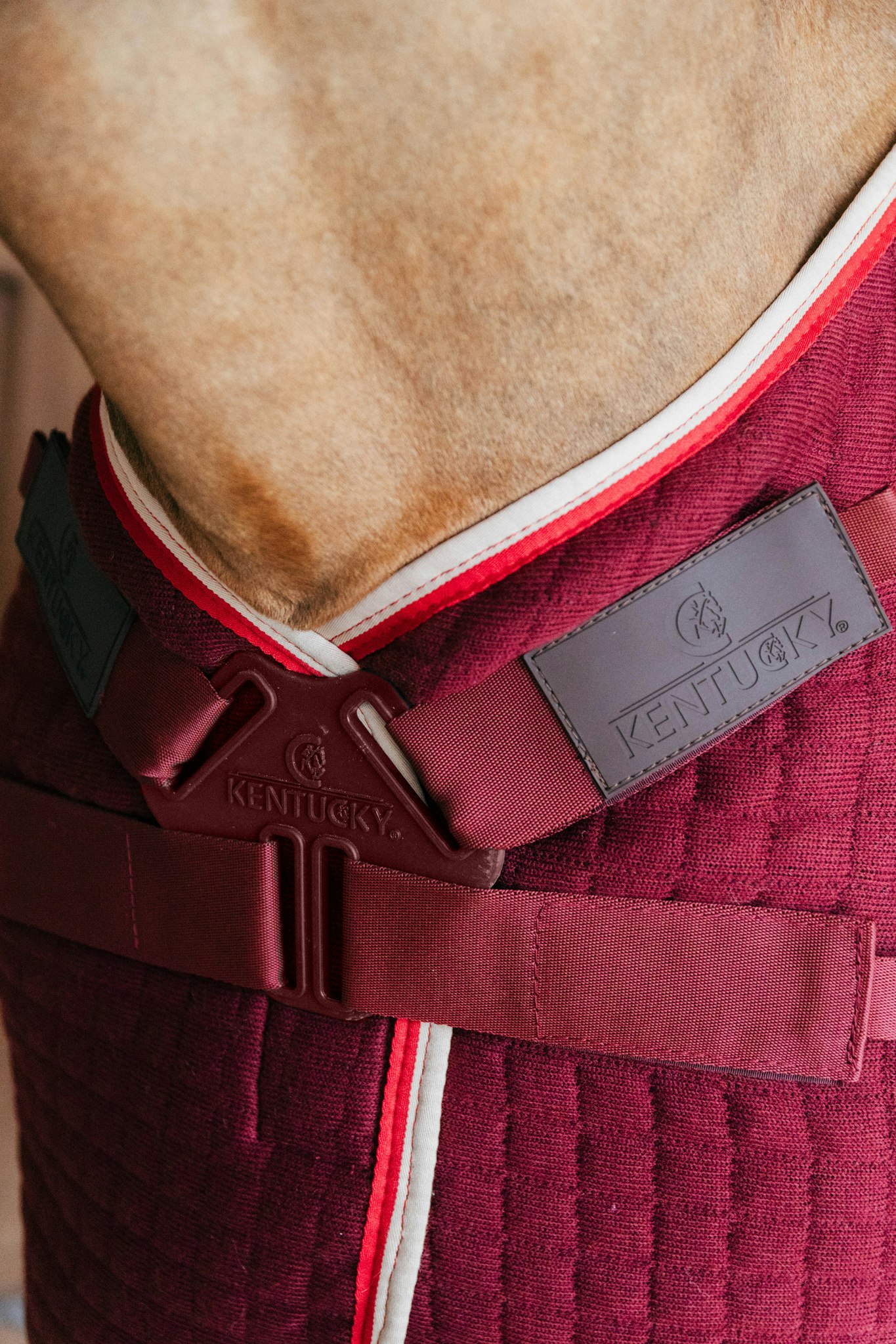 Kentucky Horsewear Cooler Rug PROtherm