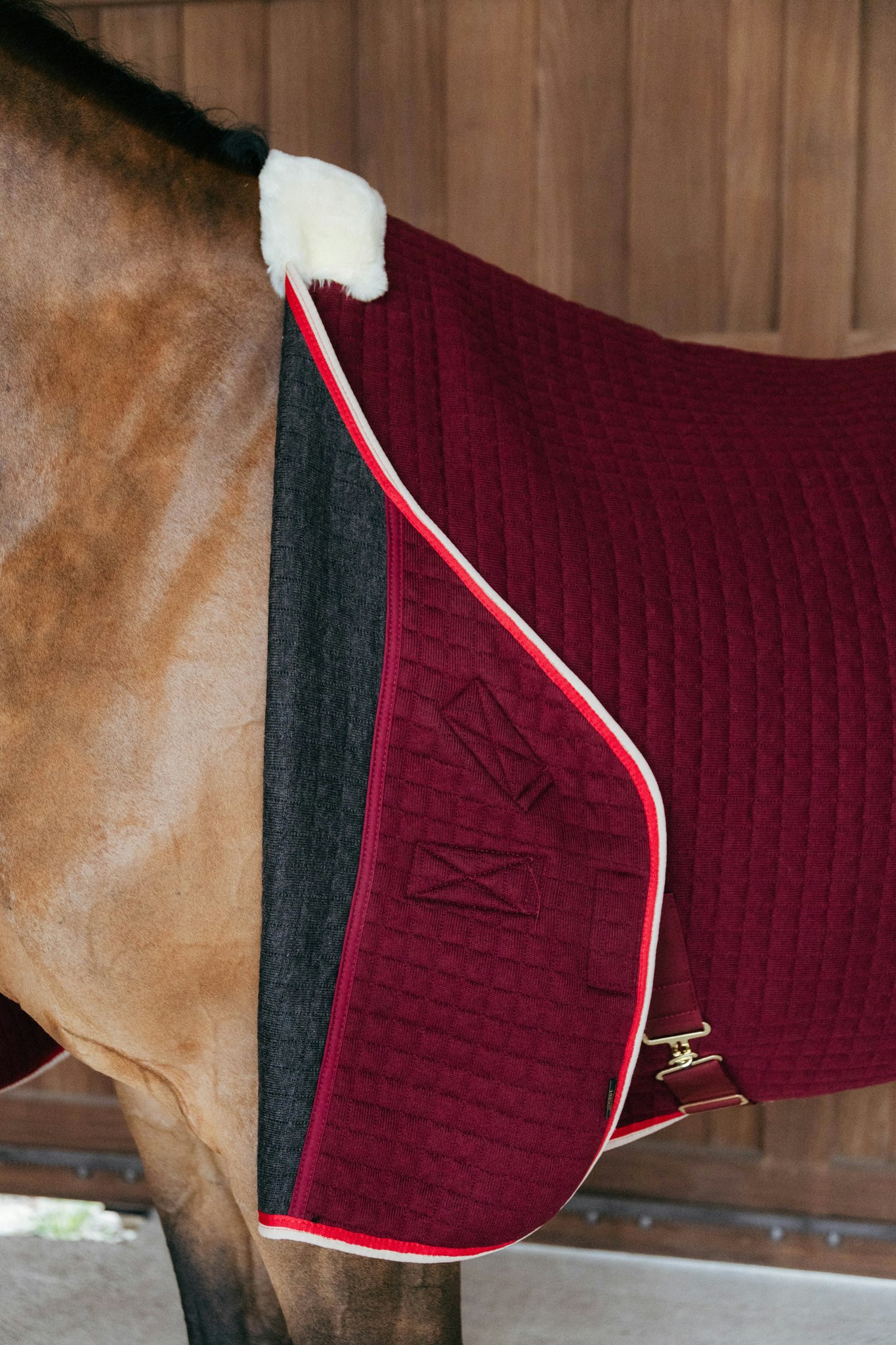 Kentucky Horsewear Cooler Rug PROtherm