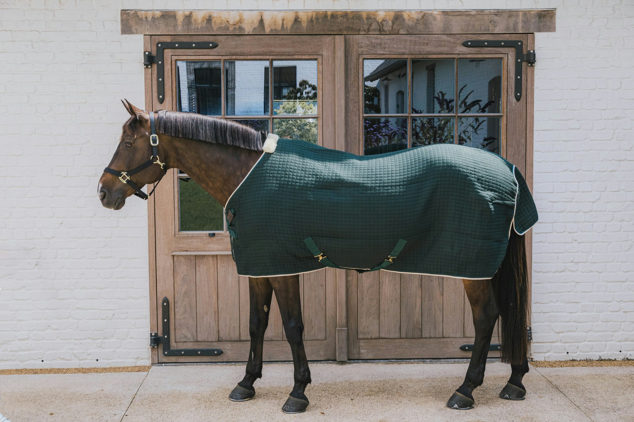 Kentucky Horsewear Cooler Rug PROtherm