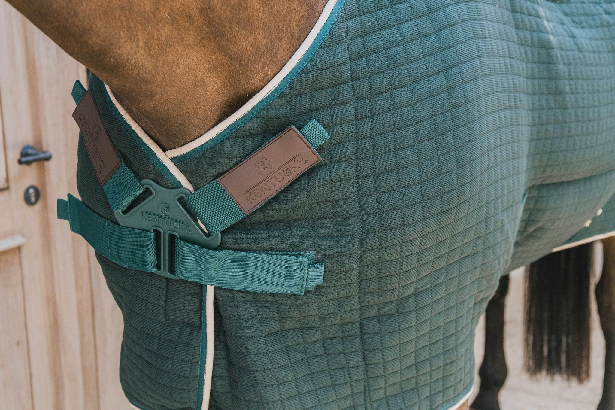 Kentucky Horsewear Cooler Rug PROtherm