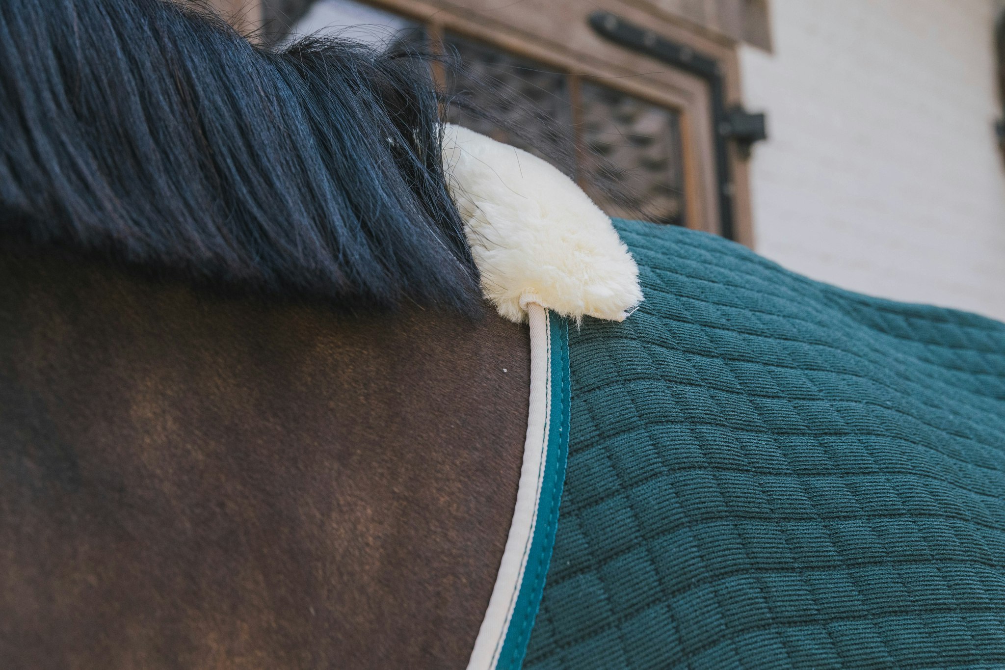 Kentucky Horsewear Cooler Rug PROtherm