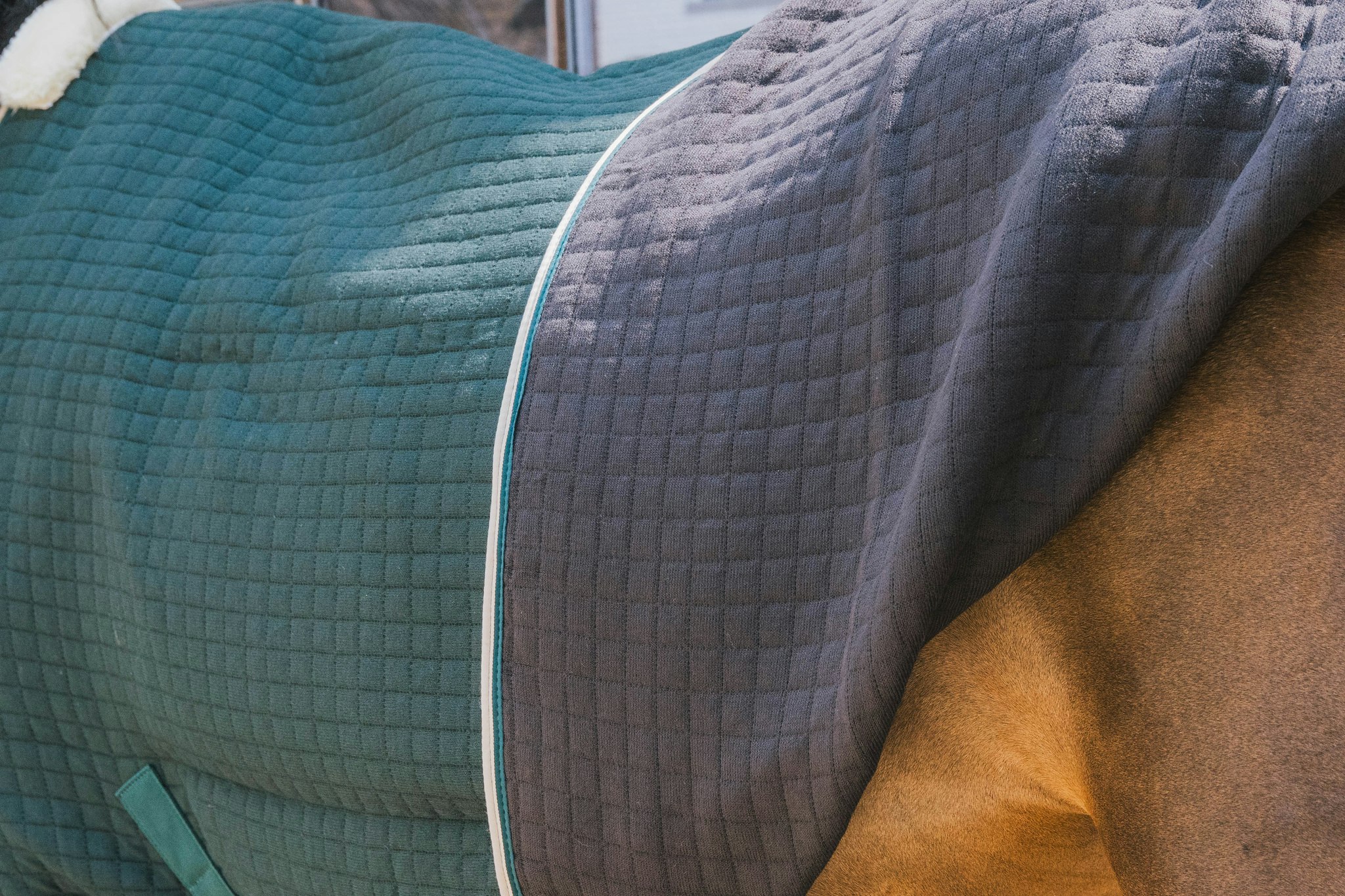 Kentucky Horsewear Cooler Rug PROtherm