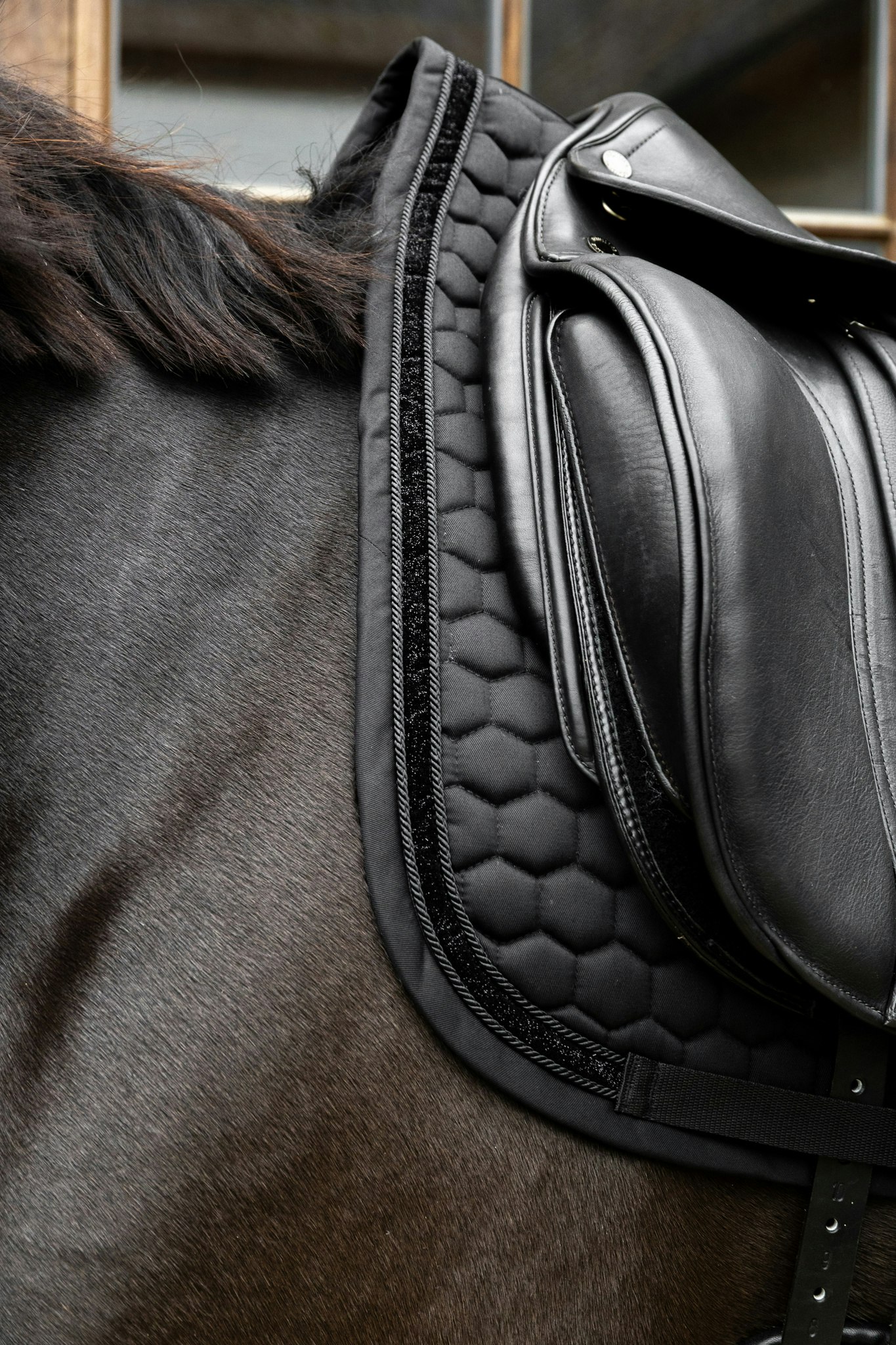 Kentucky Horsewear Saddle Pad Glitter Band Dressage