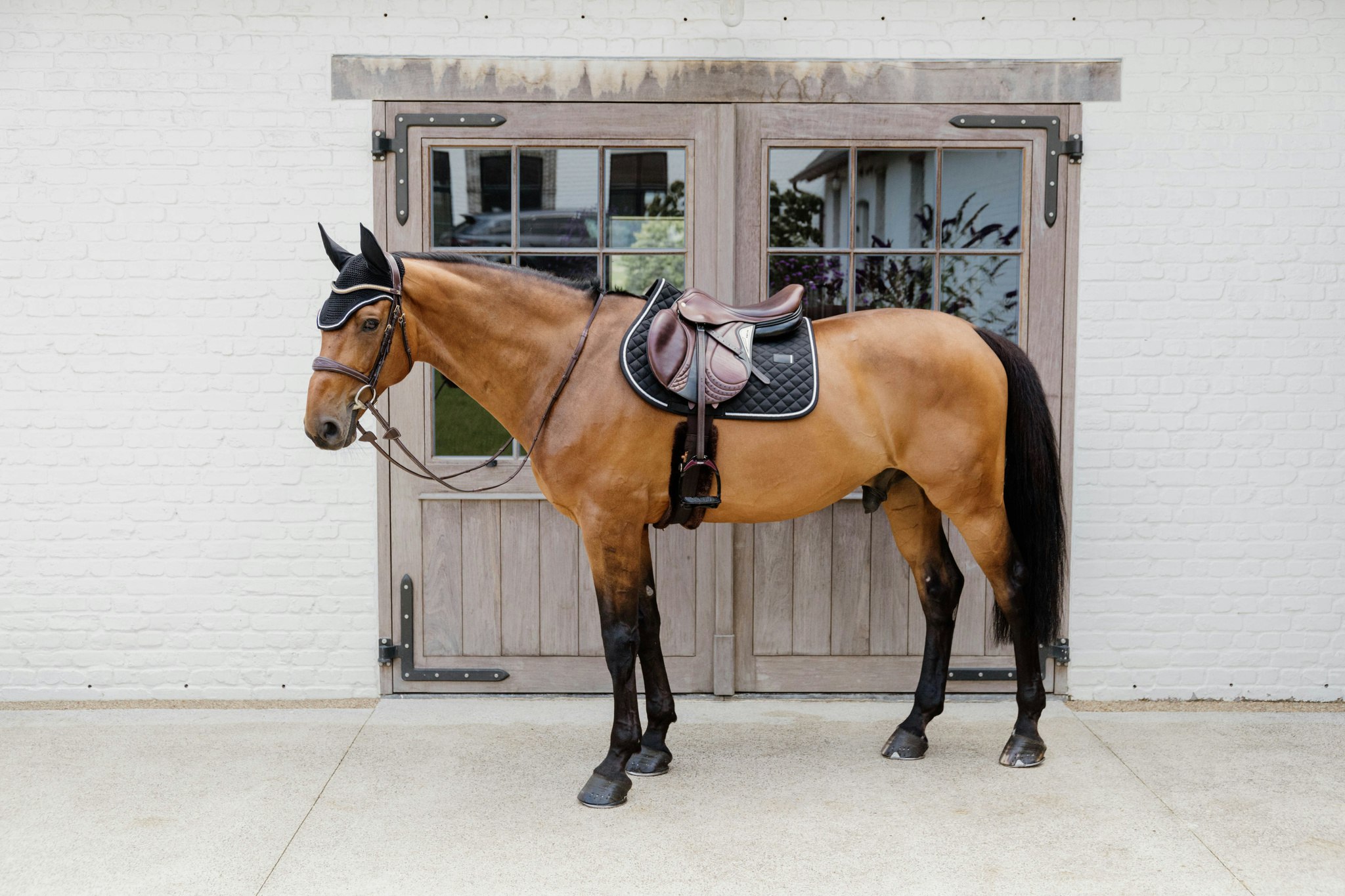 Kentucky Horsewear Saddle Pad Diamond Rope Jumping