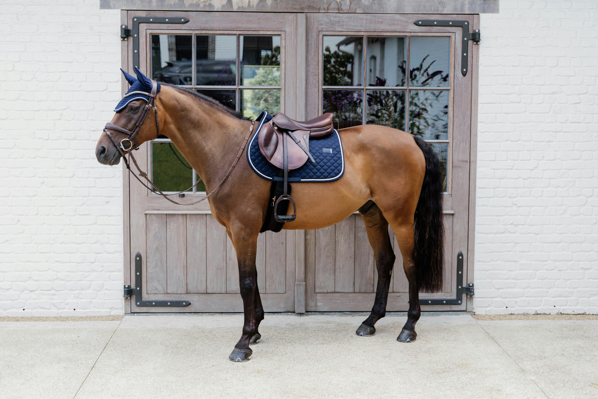 Kentucky Horsewear Saddle Pad Diamond Rope Jumping