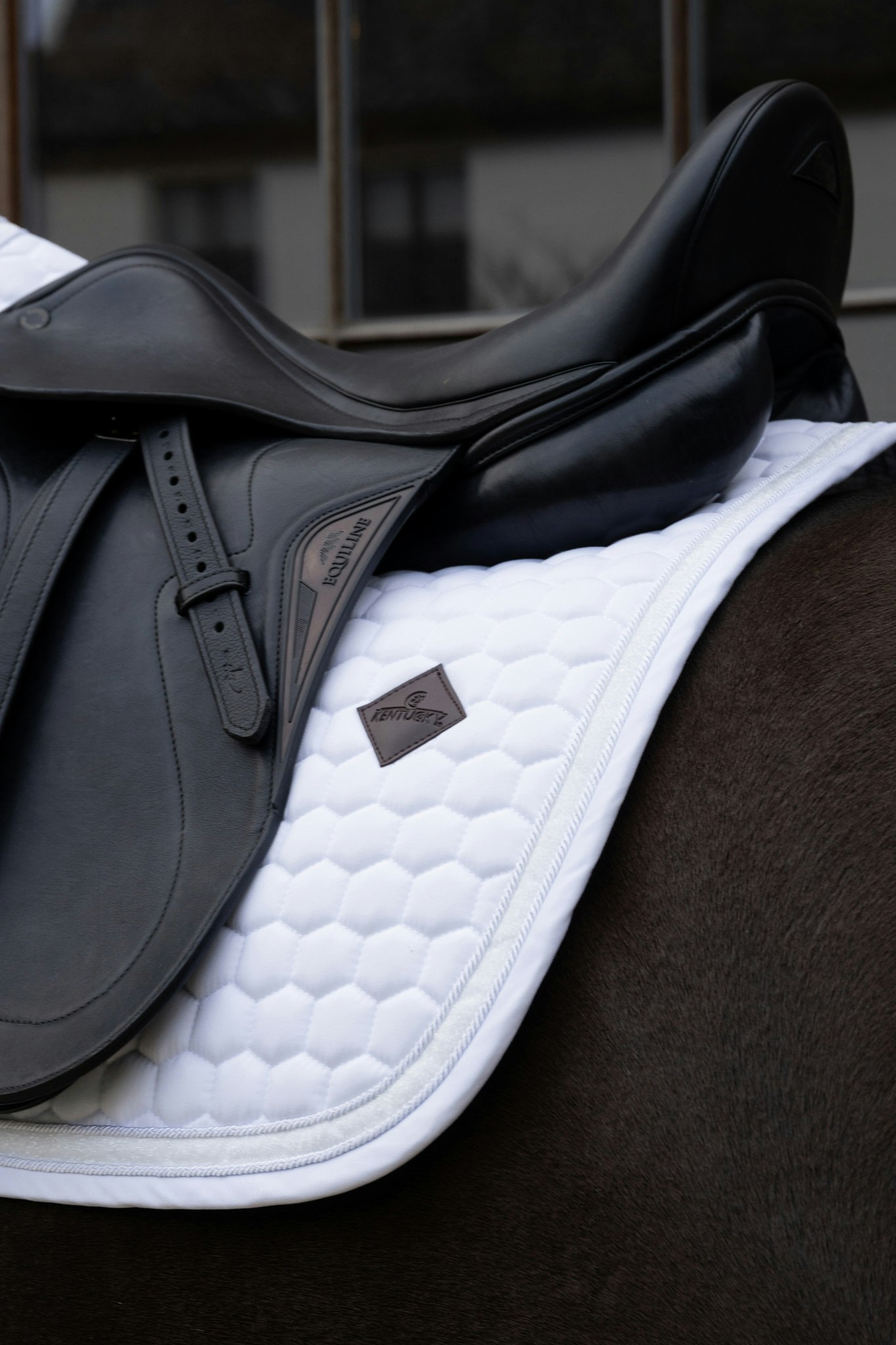 Kentucky Horsewear Saddle Pad Glitter Band Dressage