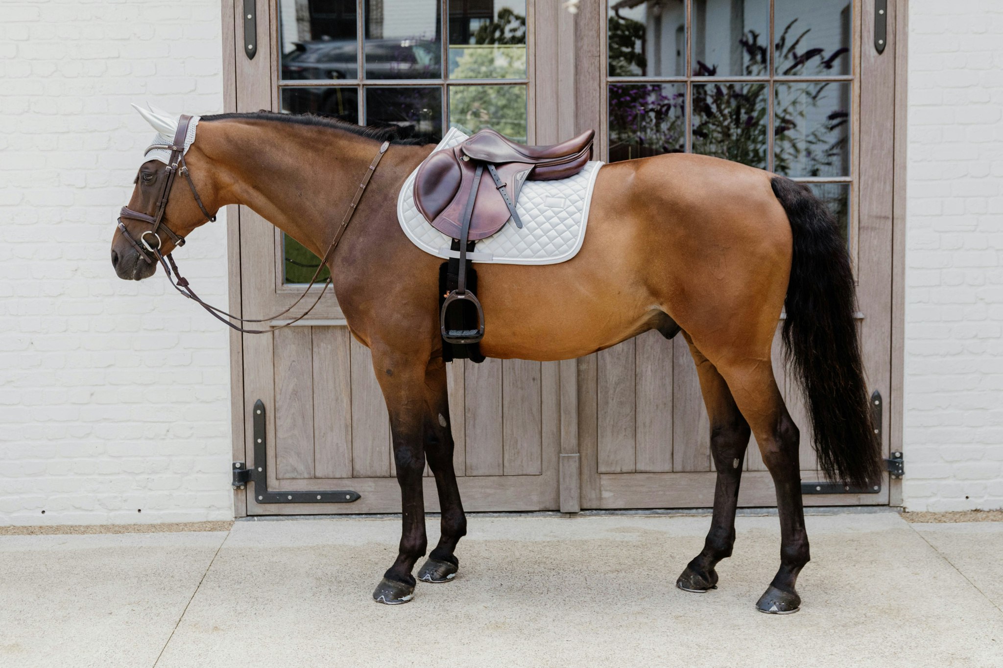 Kentucky Horsewear Saddle Pad Diamond Rope Jumping