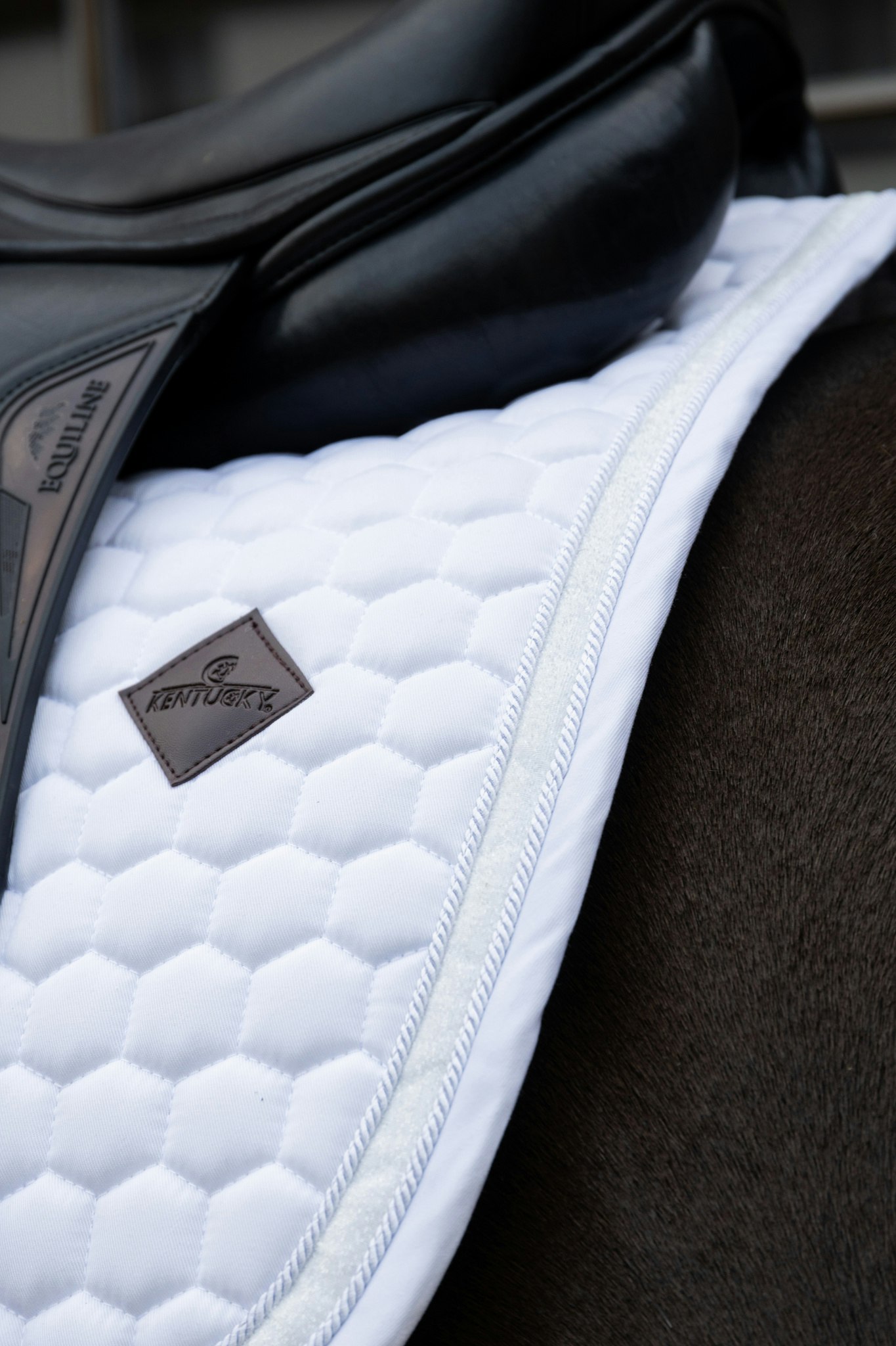 Kentucky Horsewear Saddle Pad Glitter Band Dressage