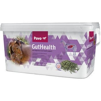 Pavo Gut Health 8kg