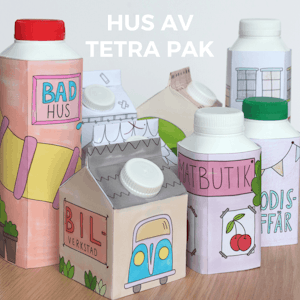 Hus av tetra pak