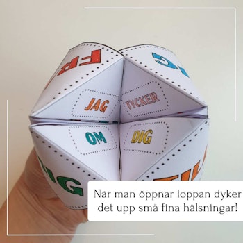 Julkort - vik en loppa!