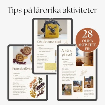 E-bok: Leklera - tips på roliga och lärorika aktiviteter
