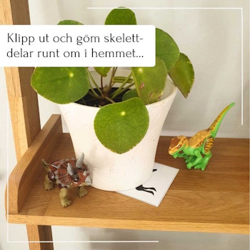 Dinosauriejakten!