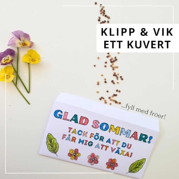 Pedagogpresenter - sommar