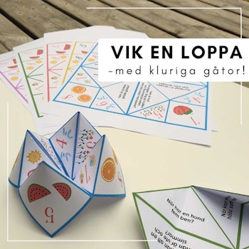Vik en loppa - kluriga gåtor
