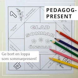 Vik en loppa - pedagogpresent