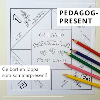 Vik en loppa - pedagogpresent