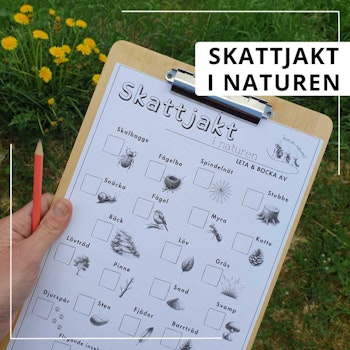 Skattjakt i naturen
