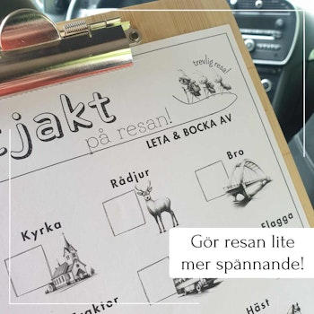 Skattjakt på resan
