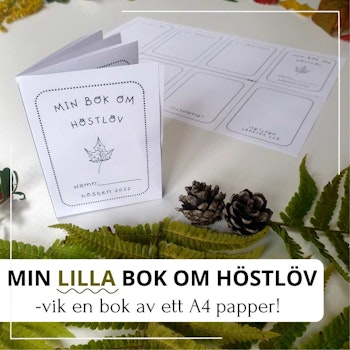 Min -lilla- bok om höstlöv