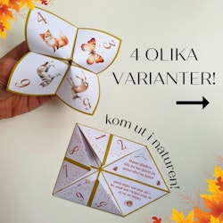 Vik en loppa - tema höst!