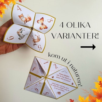 Vik en loppa - tema höst!