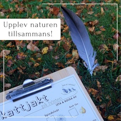 Skattjakt i naturen - tema höst