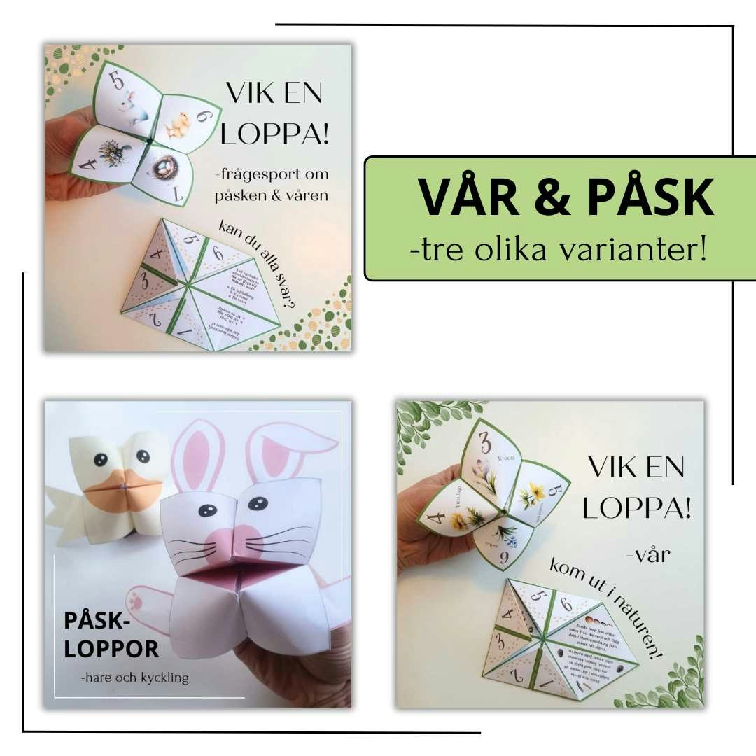 Loppor - ALLT I ETT!