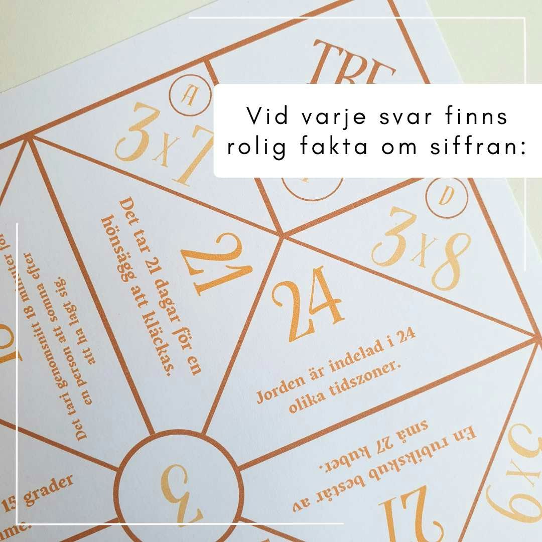 Loppor - ALLT I ETT!