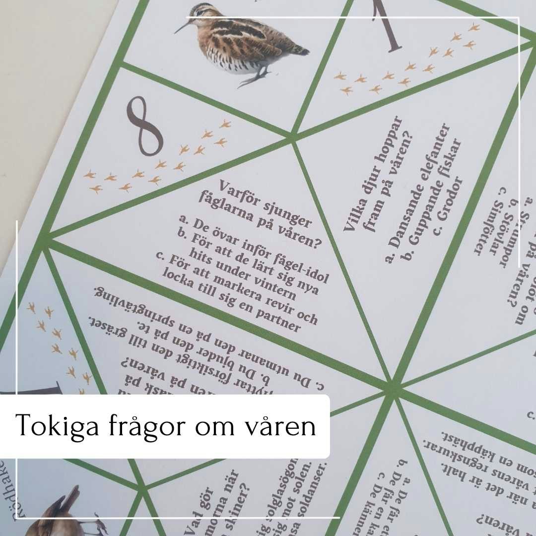 Loppor - ALLT I ETT!