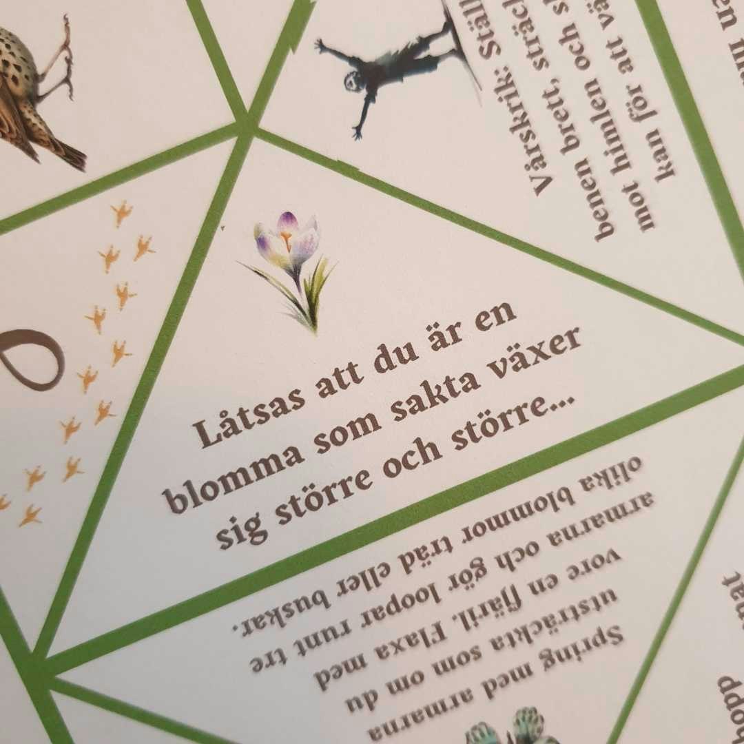 Loppor - ALLT I ETT!