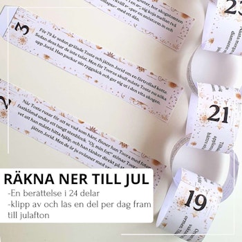 Räkna ner till jul - Tostes stora äventyr!