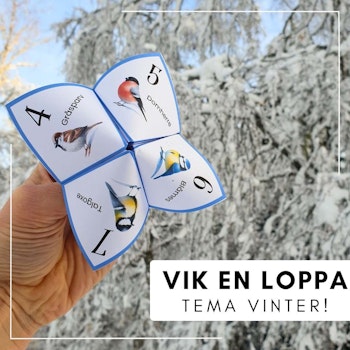 Vik en loppa - tema vinter!