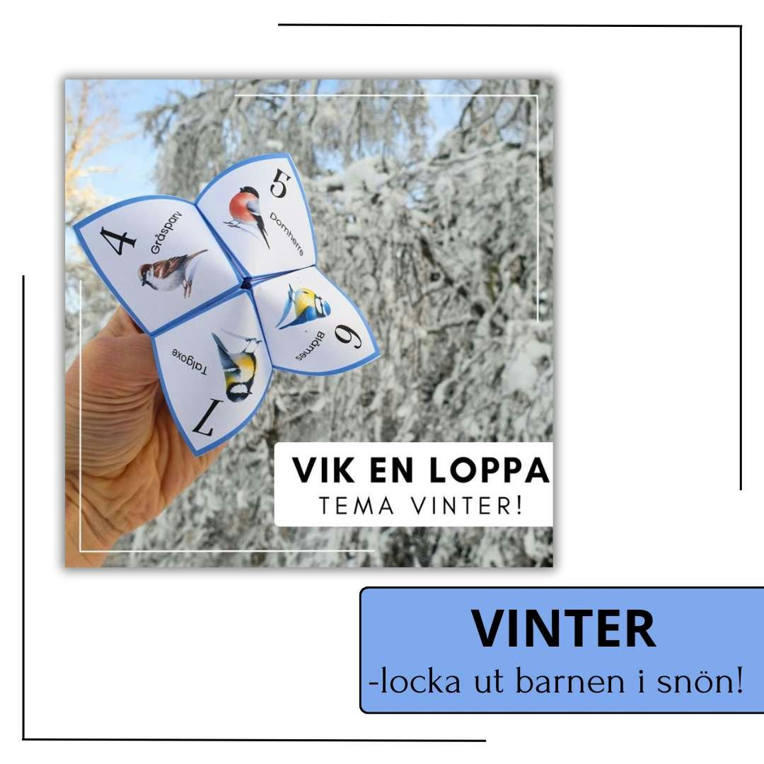 Loppor - ALLT I ETT!