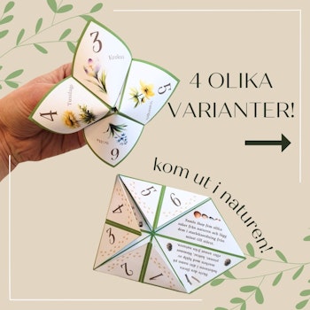 Vik en loppa - tema vår!