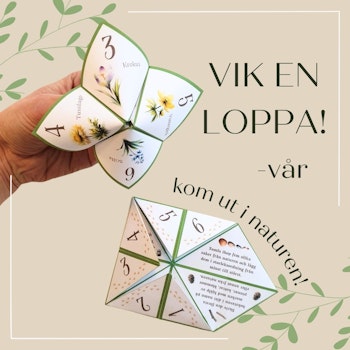 Vik en loppa - tema vår!