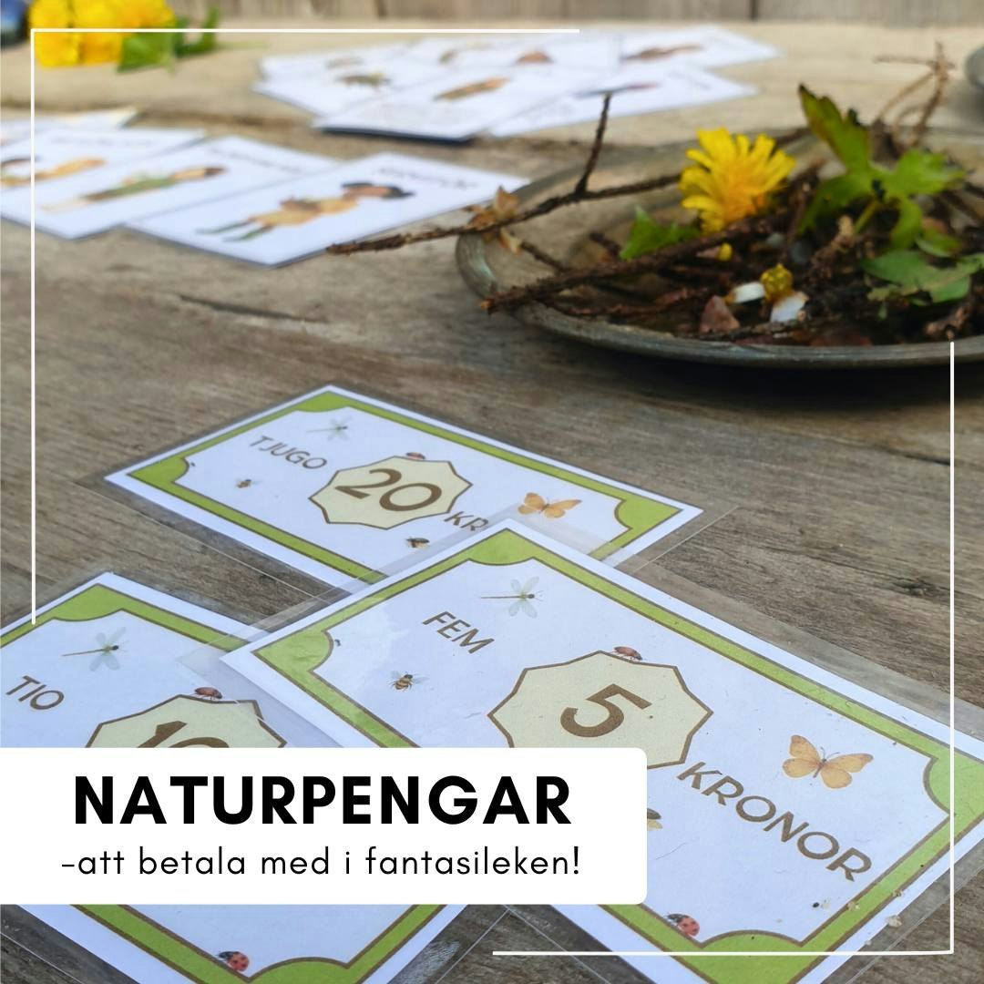 Naturköket - stort lek-kit