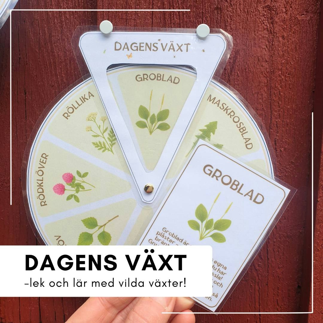 Naturköket - stort lek-kit