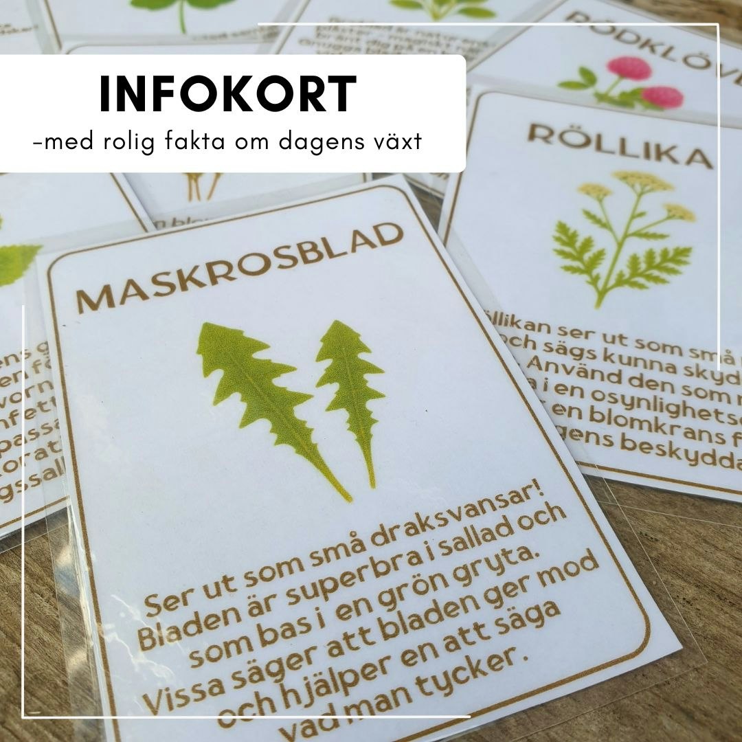 Naturköket - stort lek-kit