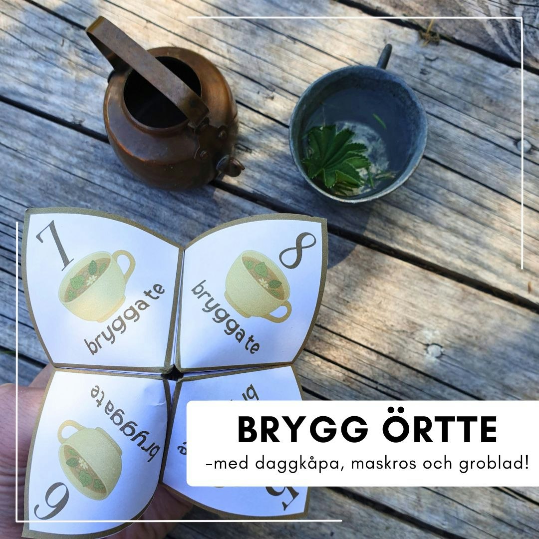 Loppor i naturköket