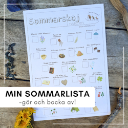 Min sommarlista - gör & bocka av!