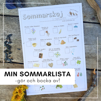 Min sommarlista - gör & bocka av!