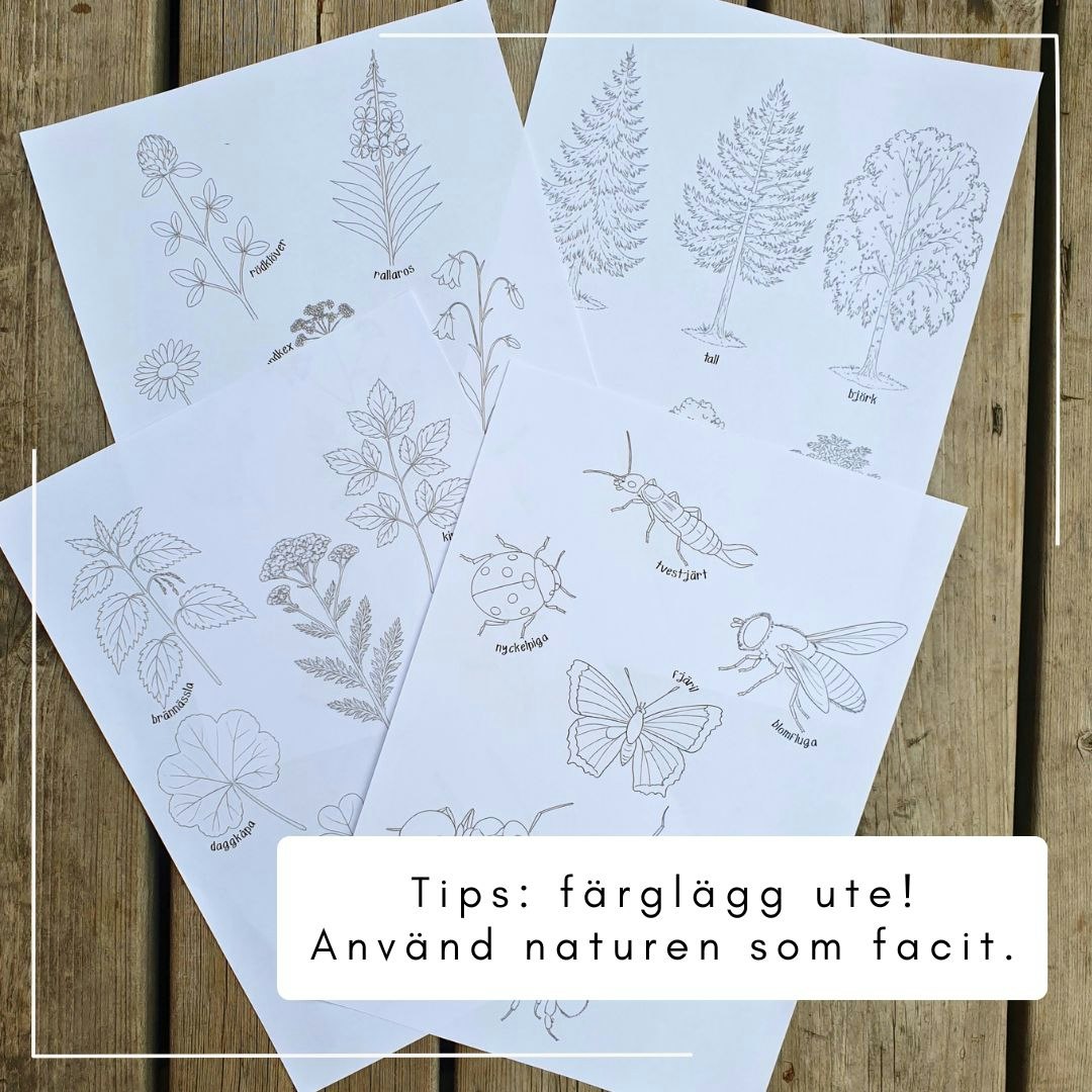 Små sommarböcker